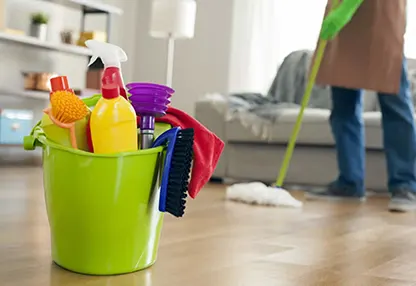 eve temizlikçi